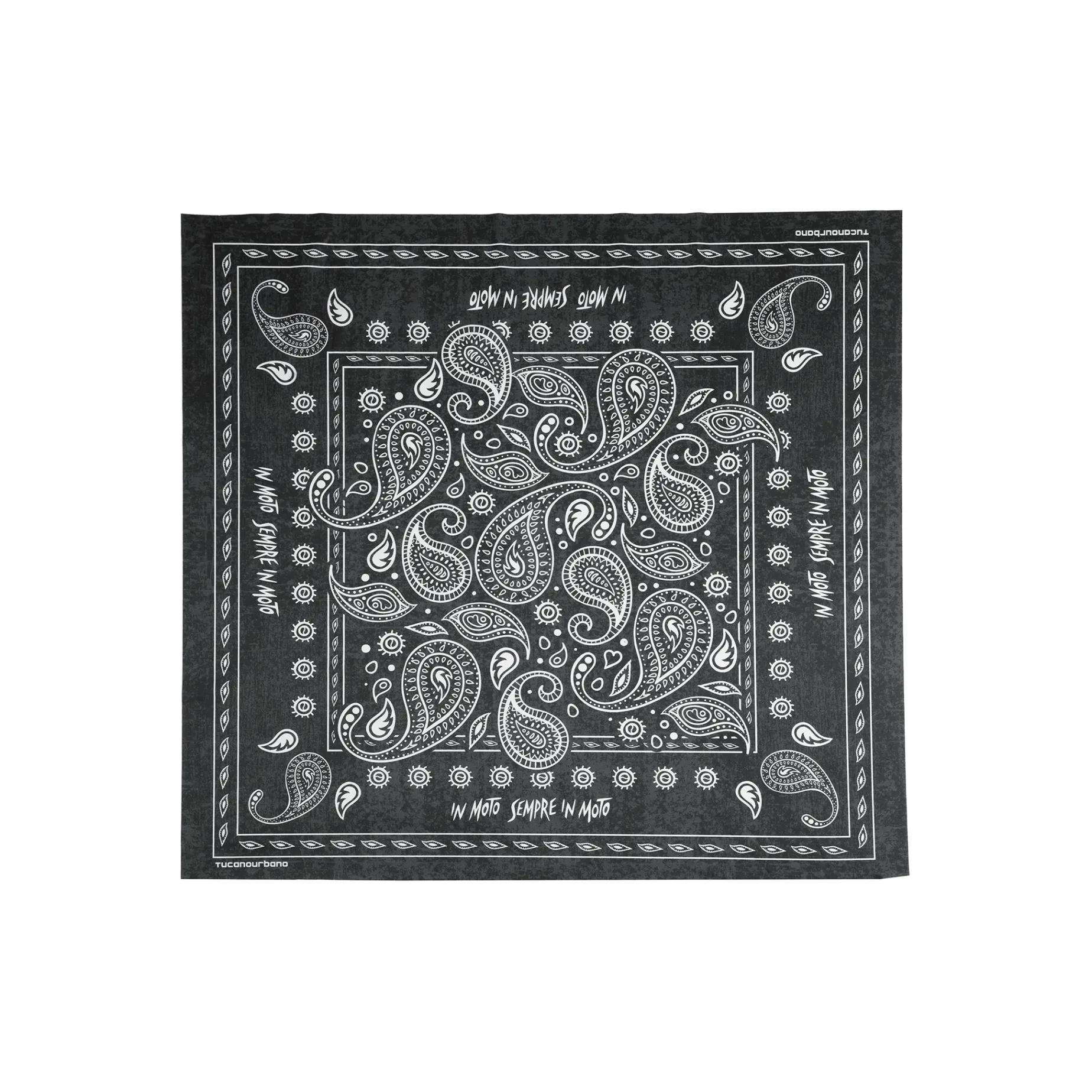 Collare FOULARD RACER